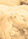 Original Photography By Rajinder Bimrah