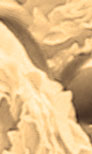 Original Photography By Rajinder Bimrah