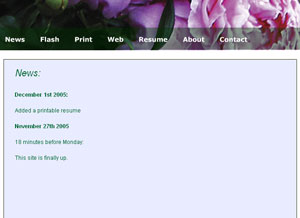 Portfolio Flash