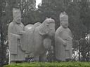 TN_gongyi_02.JPG