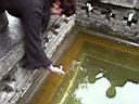 TN_white_horse_temple_05.JPG