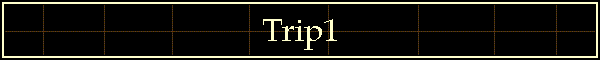 Trip1