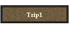Trip1