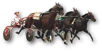 Little Brown Jug
