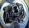 Elizabeth Dolbare Scrimshaw & Engraving