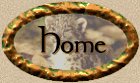 Site Index of Ria's Pages