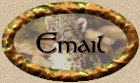 Email Me!