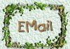 Email Me!