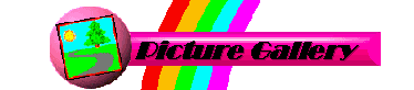 Picture Gallery