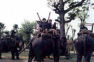 Chitwan NationalPark