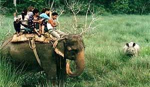 Going on a Safari in Chitwan