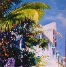 Frilly Palm