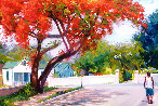 Meeting Street