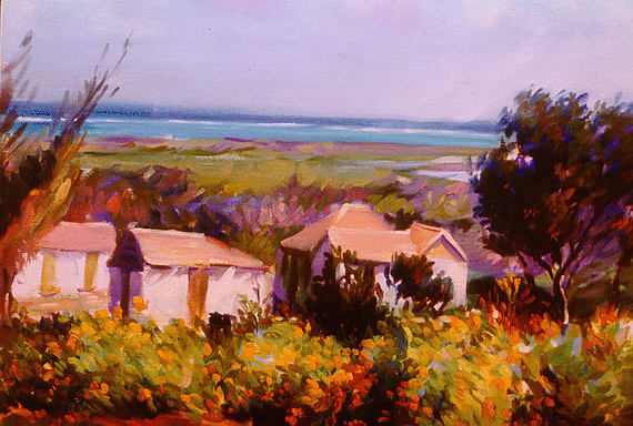 Native Dwellings