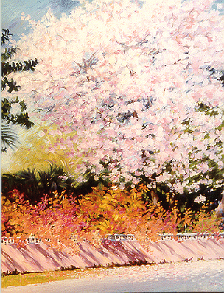 Blooms