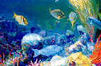 Sea Beauty