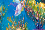 Sea Garden