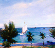 Tropical Path
