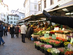 Marketplace in Bolzano, Italy