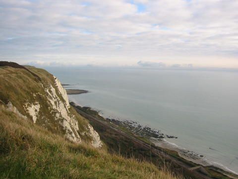 Dover