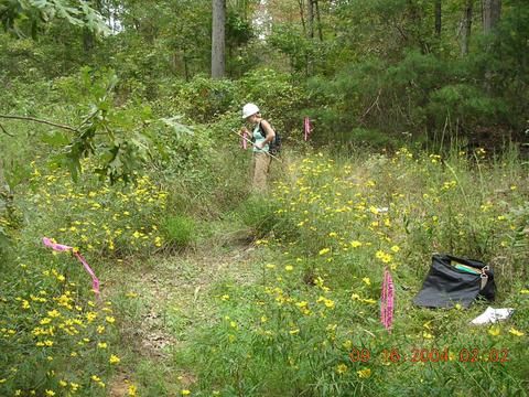 Wetland Delineation in Page County, Virginia