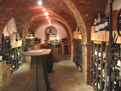 Wine Cellar in Vipetino, Italy