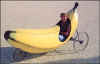 BananaBike.jpg (17167 bytes)