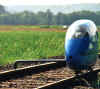 RailBike99.jpg (27276 bytes)