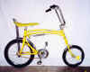 SwingBike1.jpg (15030 bytes)