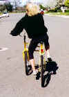SwingBike2.jpg (9806 bytes)