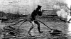 velo1.gif (146690 bytes)