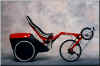 FlevobikeTrike.jpg (37216 bytes)