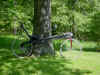 RowVelo Pictures 005.jpg (67085 bytes)