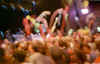phish007.jpg (19648 bytes)