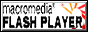 Flash Player