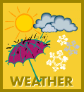 Check Out the Weather!