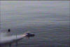 First Test-Slicing Waves2.jpg (63851 bytes)