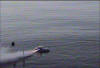 First Test-Slicing Waves.jpg (66217 bytes)
