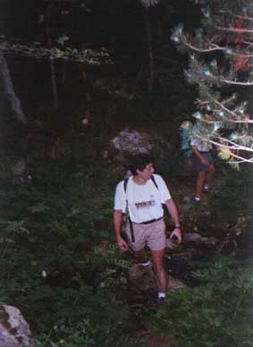 A trav&eacute;s del bosque