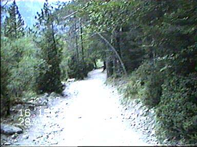 El camino de vuelta