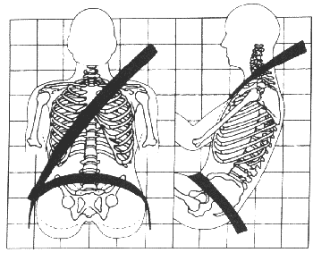 seatbelt