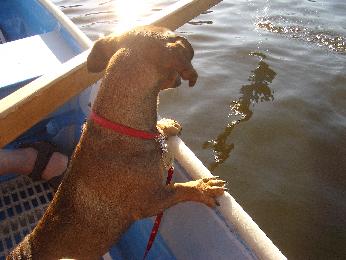 Our intrepid captain