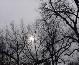 the sun this afternoon at 2:30 PM in the southwestern sky...