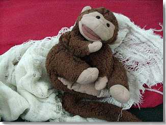 auld acquaintance, fresh from a dip in the washer and a romp in the dryer...