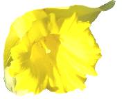 requiescat...