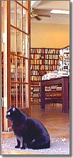 the numen of this place, the Dusty Bookshelf...