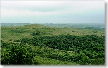 The Konza Prairie at 11 AM today from the overlook on highway 177... 