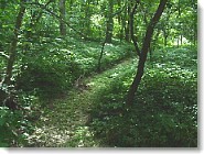 green...
