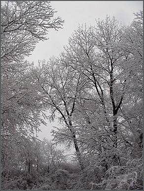 this is a color photo, by the way...