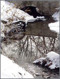February's water prepares to flow under the bridge (the creek on campus along Lovers' Lane)...